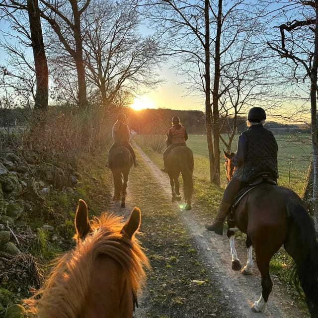 Söderåsen National Park: Horseback Riding Vacation 4 Nights - Daily Itinerary Details