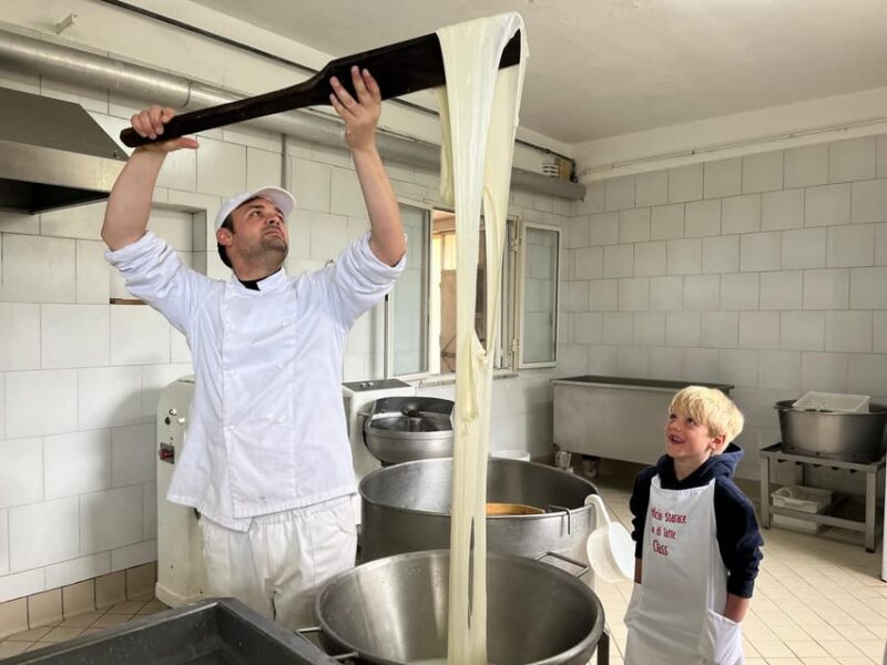 Sorrento Coast Mozzarella Tasting & Cheese Making Experience - Tasting Experience