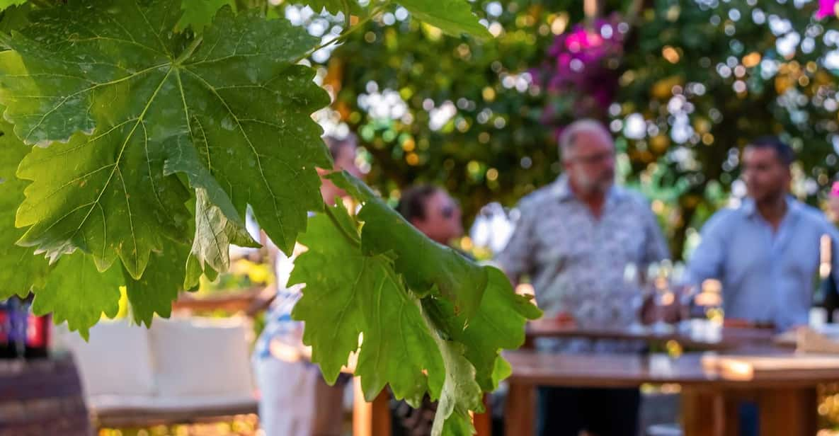 SORRENTO: Wine Tasting Overlooking the Sea in a Lemon Grove - Pricing Information