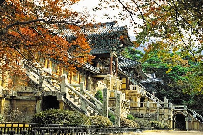 South Korea Highlights 7D/6N - Culinary Delights on the Tour