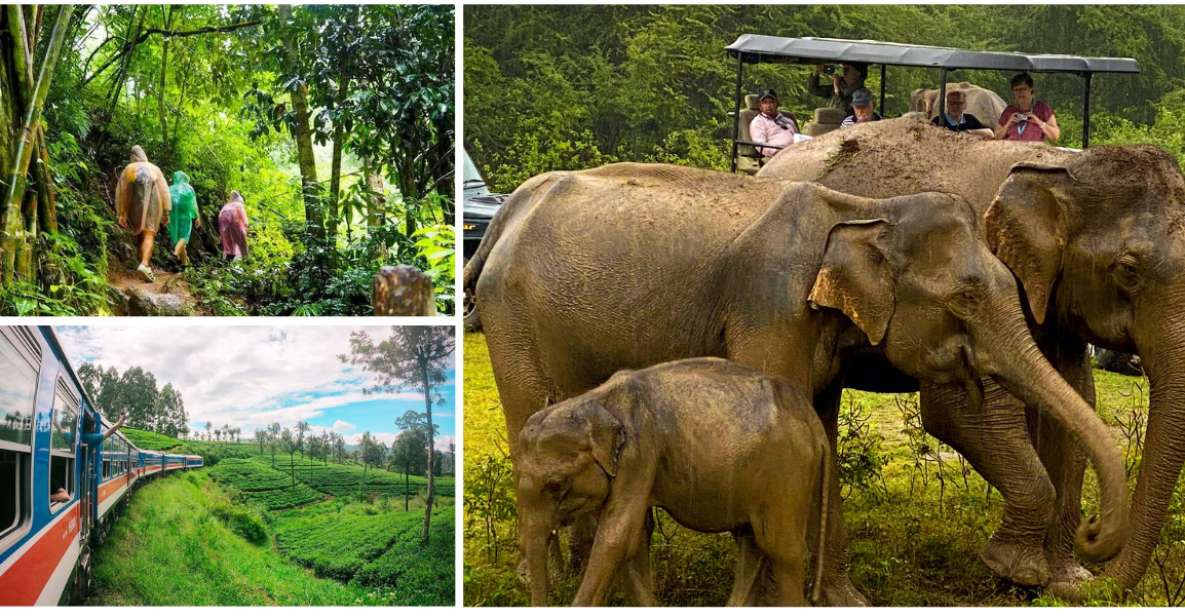 Sri Lanka Green Bless- Ultimate 2 Days Trip to Enjoy Nature - Included Services