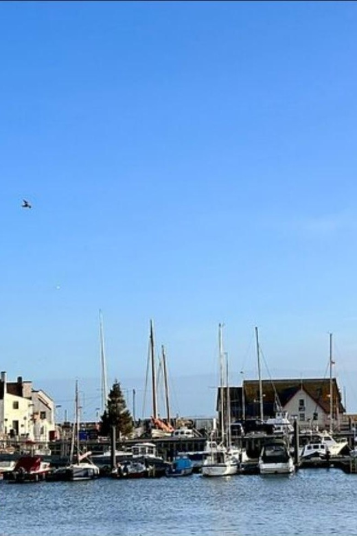 St Andrews, Falkland Palace, Fife Fishing Villages Tour - Inclusions and Amenities