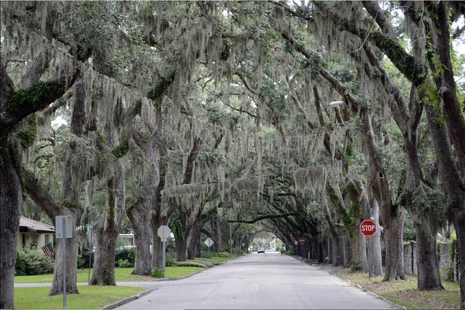 St. Augustine Hop-On Hop-Off Trolley Tour - Cancellation and Refund Policies