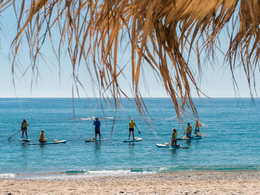 Stegna Beach: Stand Up Paddle Boarding for Beginners - Cancellation Policy