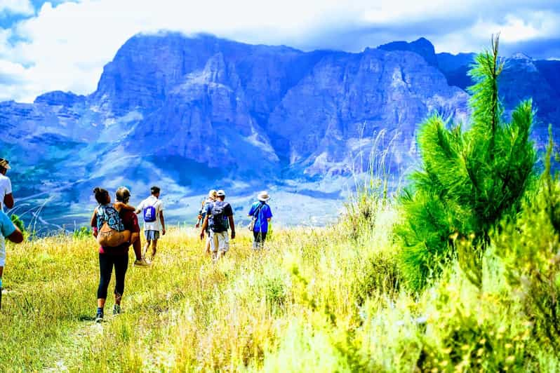 Stellenbosch: Dwarsrivier Silver Mine Hike - Discovering Local Flora and Fauna