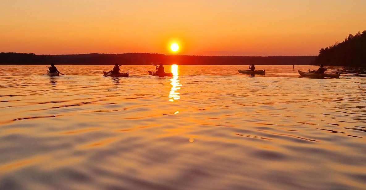 Stockholm: Sunset Kayak Tour on Lake Mälaren With Tea & Cake - Experience Highlights