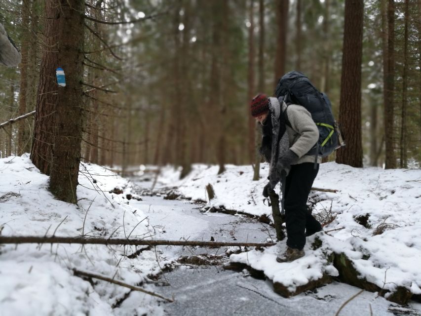 Stockholm: Winter Nature Hike With Campfire Lunch - Inclusions and Exclusions