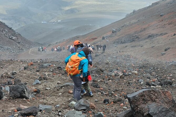 Strenuously Cotopaxi Volcano and Birding by the Lagoon (Private) - How to Book and Contact