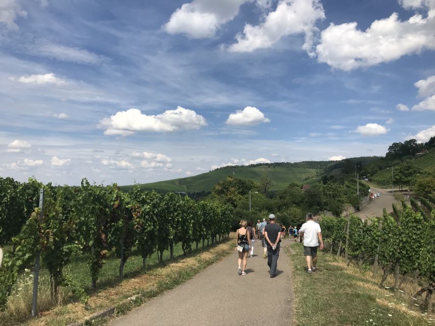 Stuttgart: 2-Hour Vineyard Hike With Tastings - Wine Tasting Details