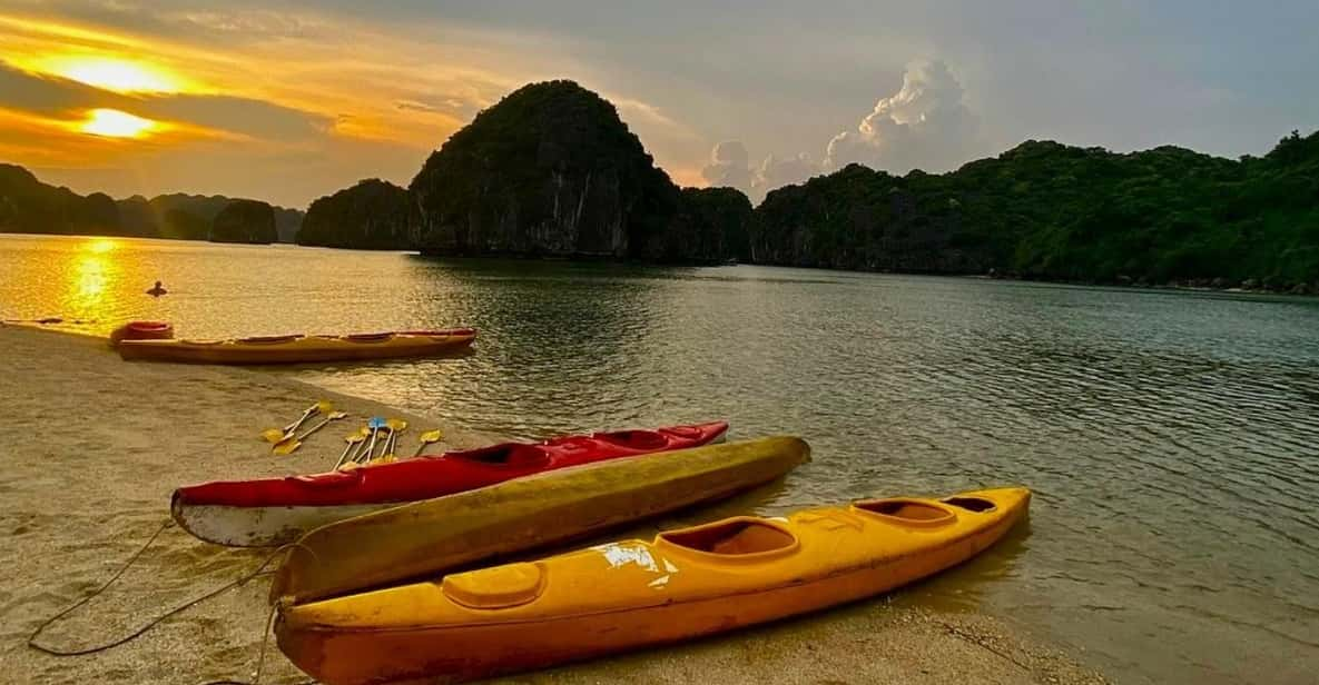 Sunset and Magical Bioluminescence Plankton Night Kayak Tour - Bioluminescence Highlights