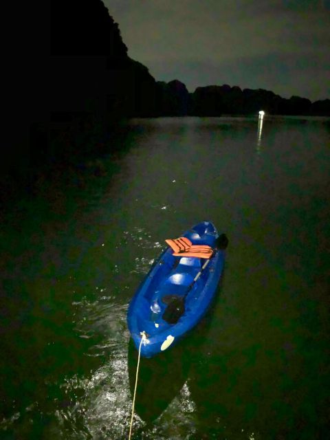 Sunset and Plankton Bioluminescent Night Kayaking - Highlights of the Experience