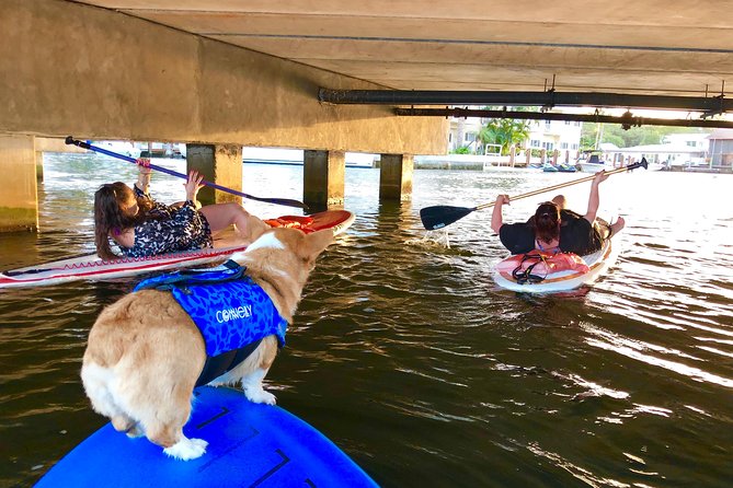 SUP PUP Paddleboard Tour - Accessibility Information