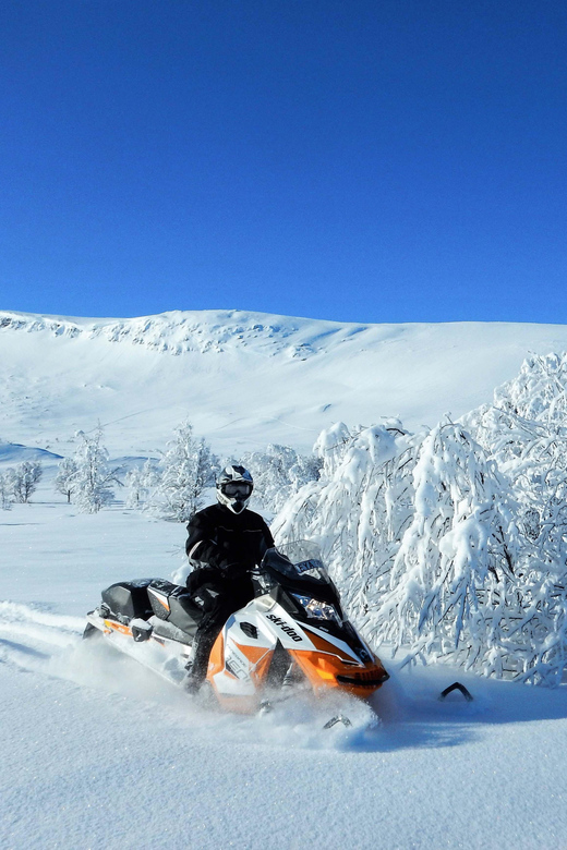 Swedish Lapland: Snowmobile Safari - Experience the Wilderness