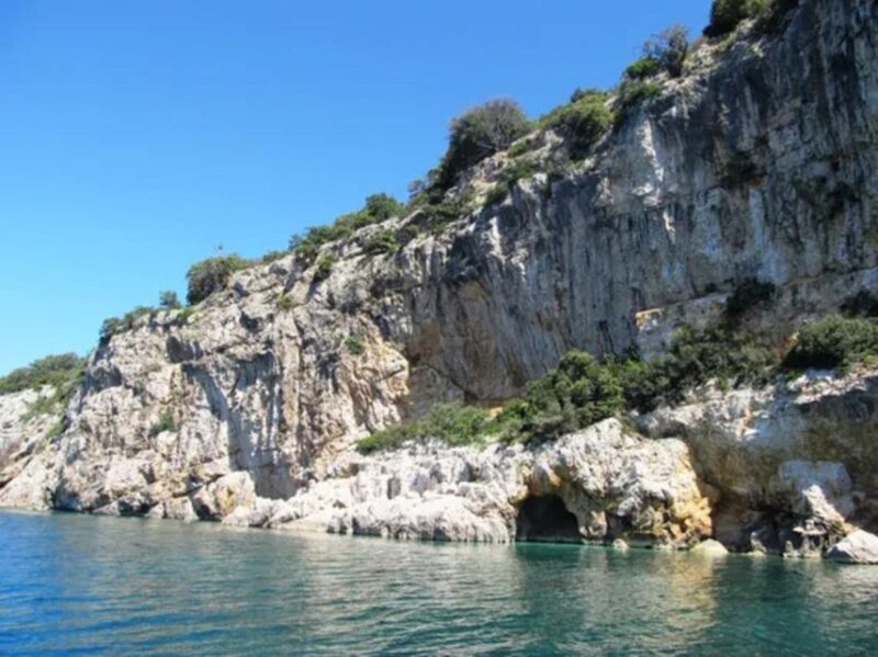 Swim and Snorkel With Capt. Bobo on Plavnik Island (Private) - Itinerary Details