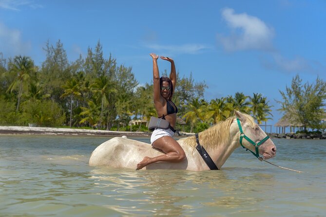 Swimming With Horses at the Beach From Punta Cana Free Transportation - Health and Safety Guidelines