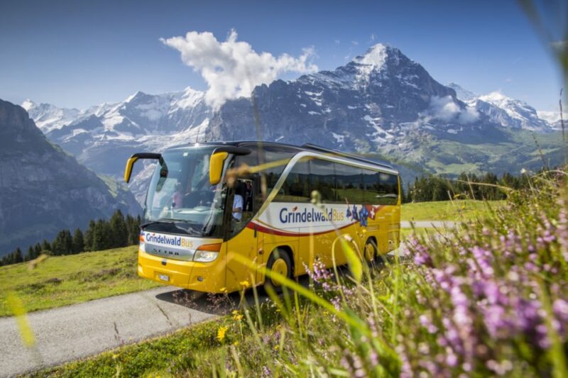 Switzerland: Berner Oberland Regional Pass in 2nd Class - Included Transportation Services