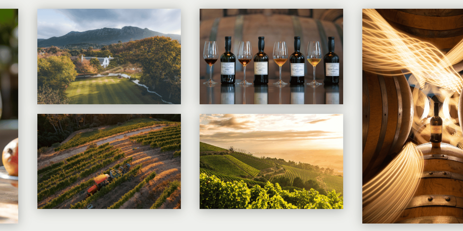 Table Mountain and Constantia Wine Tasting Private Tour - Frequently Asked Questions