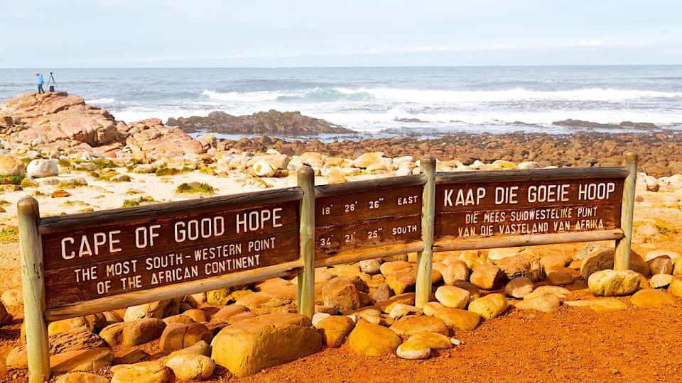 Table Mountain, Cape Point & Penguins Tour With Park Fees - Tour Features