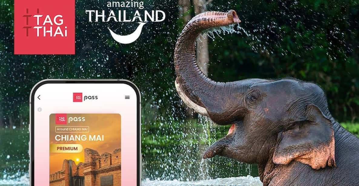 Tagthai: Chiang Mai Premium Pass With 90+ Benefits! - Dining Experiences