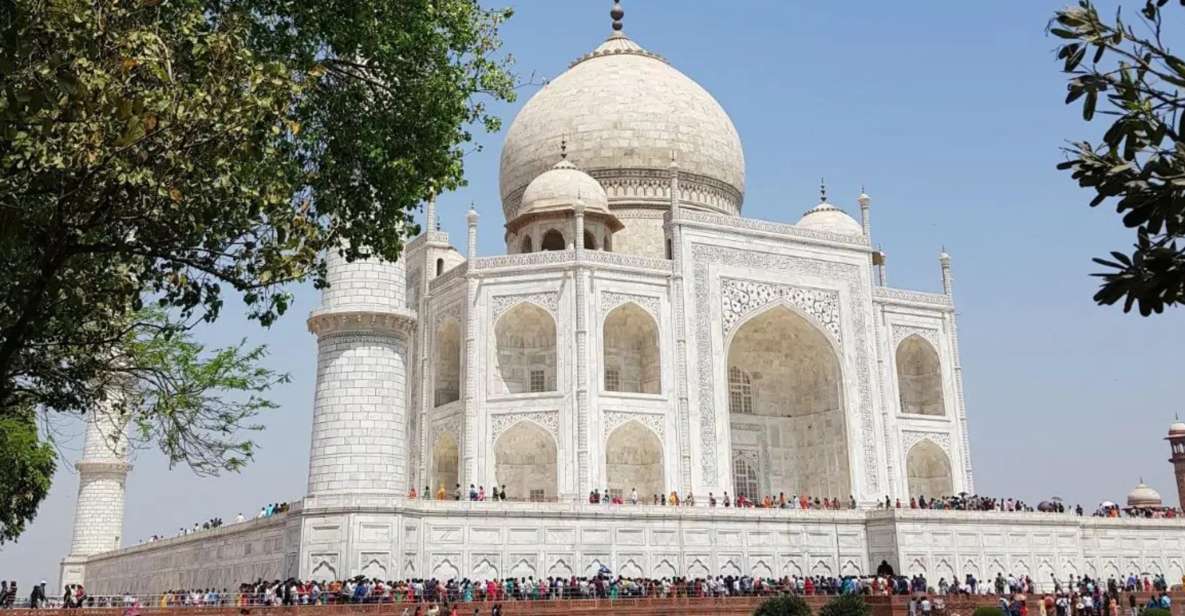 Taj Mahal Guided Tour With Fast Track Entry - Inclusions and Services