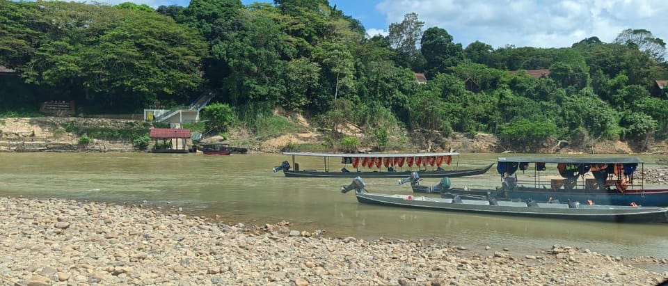 Taman Negara :Oldest Rainforest Park Guided Tour - Key Highlights