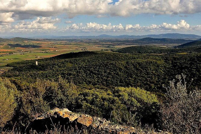 Tarot Garden and Maremma Park - Accessibility and Tour Details