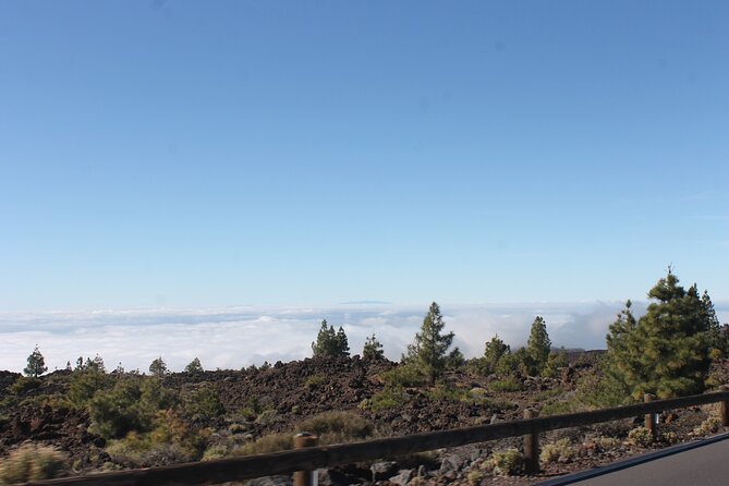 Teide Volcano National Park Quad Biking Tour - Additional Information