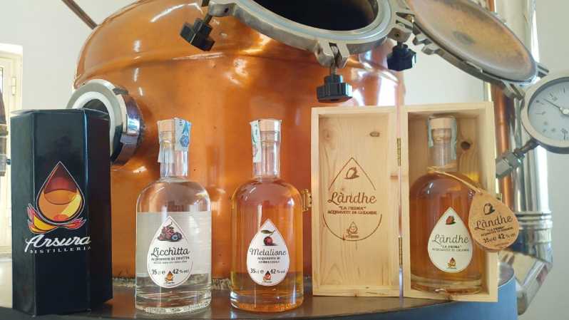 Tempio Pausania: Visit a Distillates Workshop With Tasting - Tasting Experience