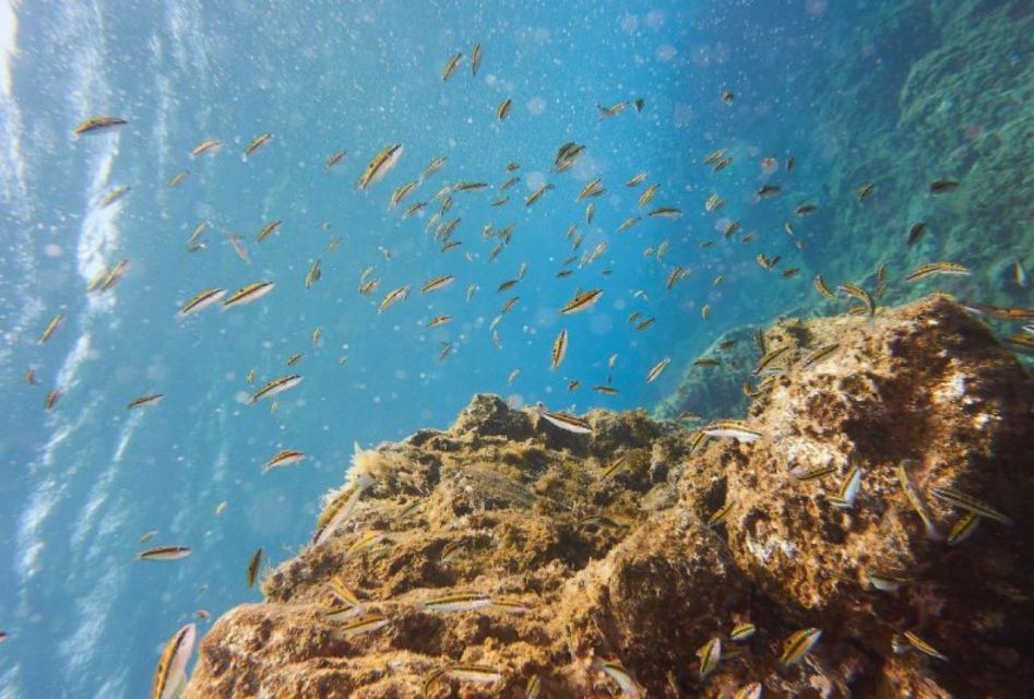 Tenerife: 3 Day/6 Dives Open Water Diver Course - Course Content