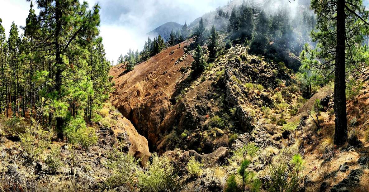 Tenerife: Barranco De Los Arcos - Canyoning in Tenerife - Experience Details