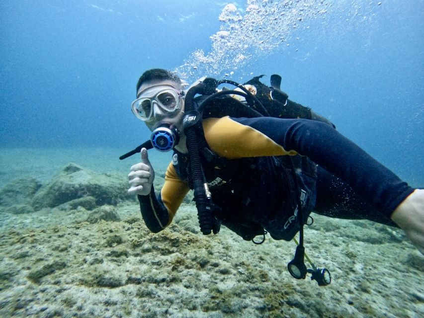 Tenerife: Beginners Dive at a Spot With Turtle Sightings - Dive Site and Underwater Life