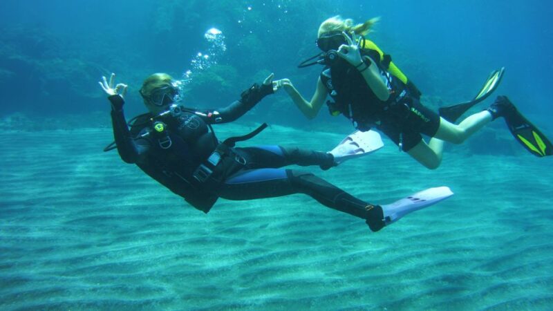 Tenerife: Beginners Scuba Diving Experience - Dive Experience Details