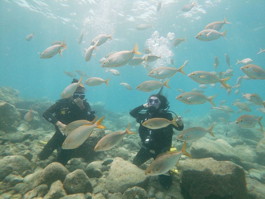 Tenerife: Costa Adeje Private Diving Lesson Experience - Safety and Participation