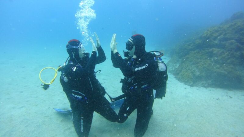 Tenerife: Discover Scuba Diving With Free Photos - Inclusions and Requirements
