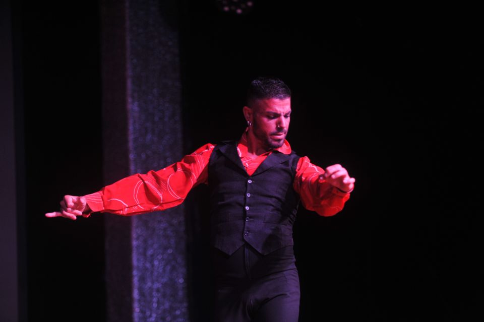 Tenerife: Flamenco Performance at Teatro Coliseo - Performance Highlights