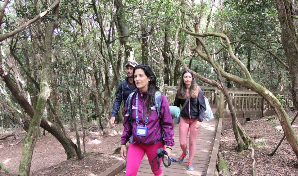 Tenerife: Guided Mindful Hike in Anaga Biosphere Reserve - Tour Itinerary