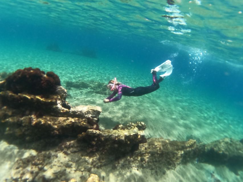 Tenerife: Half-Day Snorkeling Tour - Inclusions and Equipment