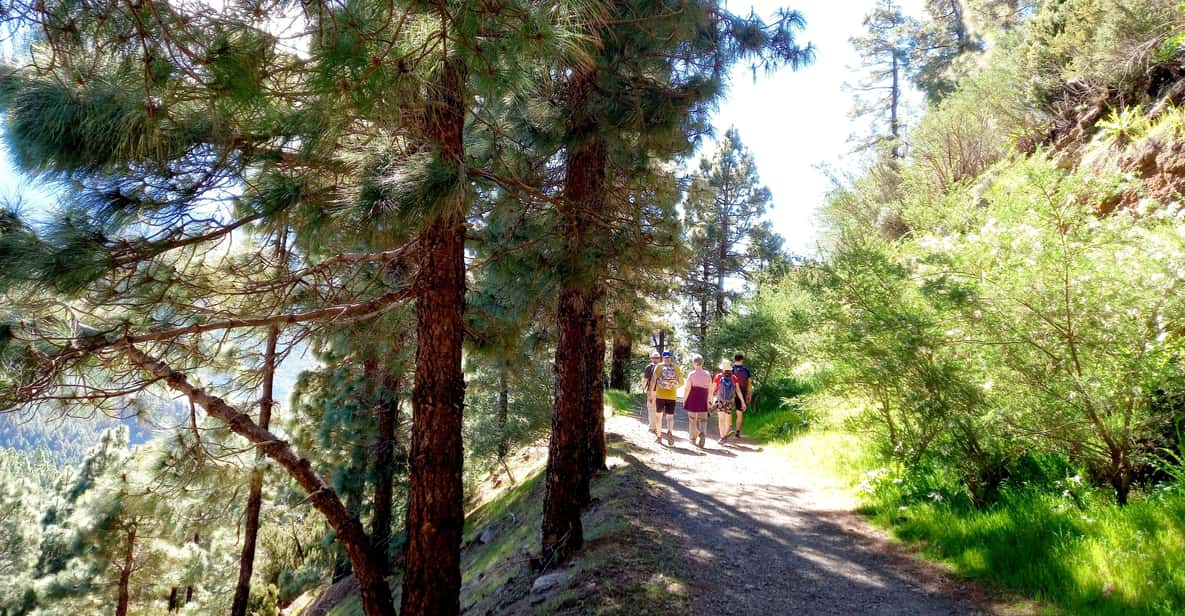 Tenerife: Hiking Above the Village of Masca - Hiking Highlights