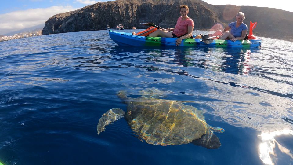 Tenerife: Kayak and Snorkel With Turtles - Inclusions