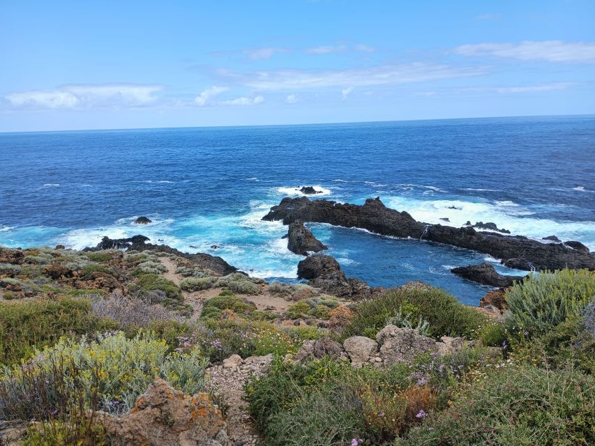 Tenerife: North Coast Landscapes Private Day Tour - Tour Experience