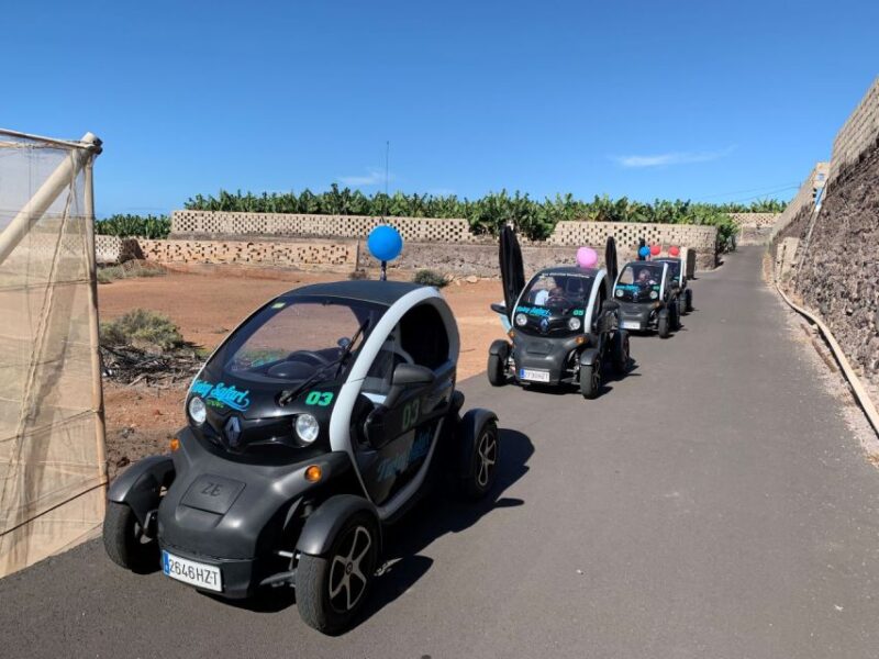 Tenerife: Private Renault Twizy Tour - Driving the Renault Twizy Mini Car