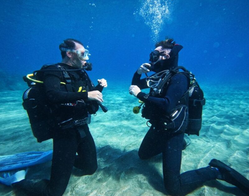 Tenerife: Private Scuba Diving Experience With Photos - Booking and Cancellation