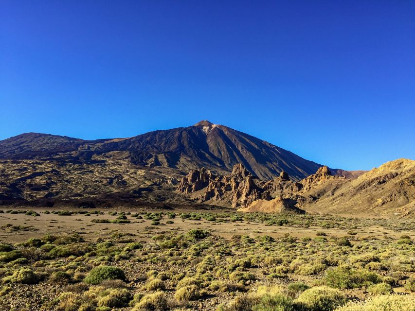 Tenerife Private Tour: Mount Teide Nature and Wine - Nature Exploration