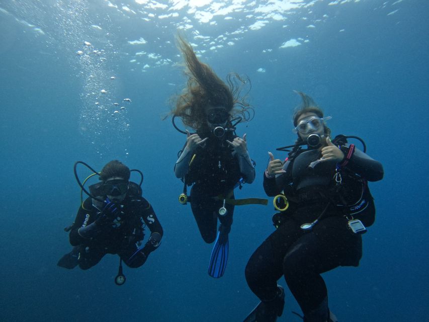 Tenerife: Puerto Colon Certified Scuba Dive by Speed Boat - Itinerary Details