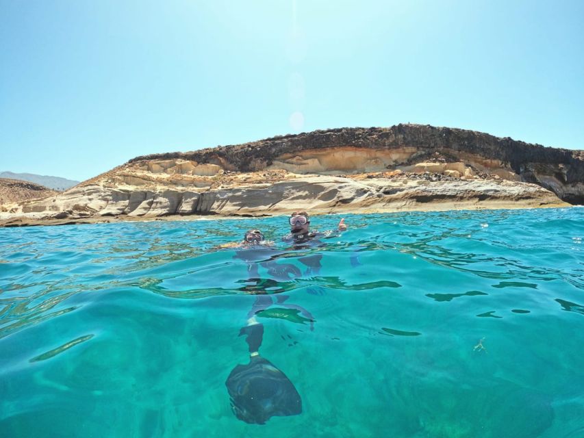 Tenerife: Puerto Colon Snorkel Safari by Speed Boat - Marine Life Highlights