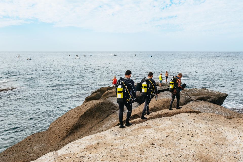 Tenerife: Scuba Diving Experience With Instructor and Gear - Dive Locations