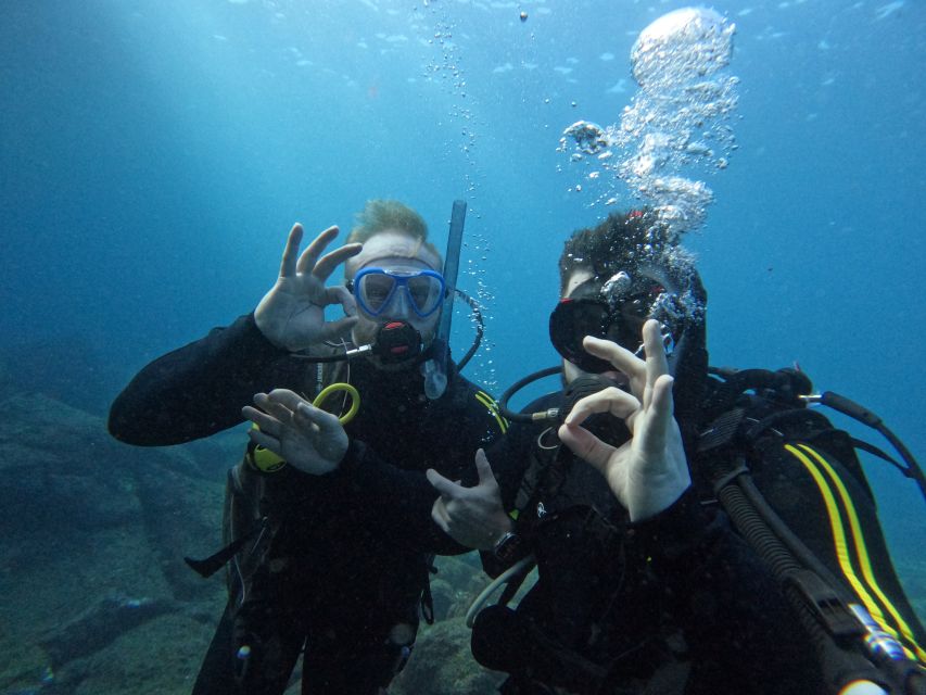 Tenerife: Scuba Diving for Certified Divers in Tenerife - Included Dive Equipment