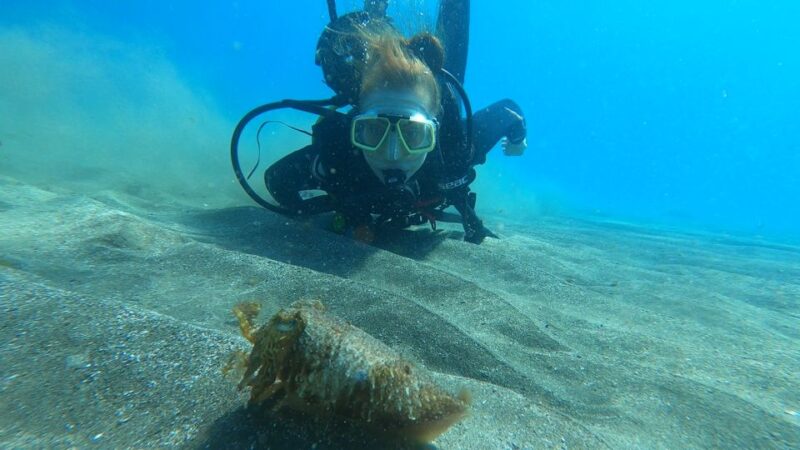 Tenerife: Scuba Diving Lesson and Abades Protected Area Dive - Inclusions and Restrictions