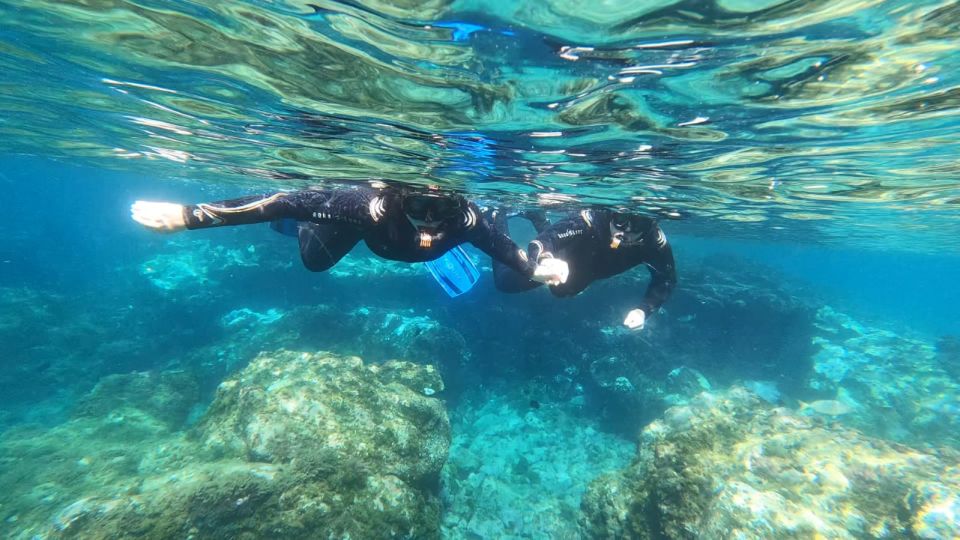 Tenerife: Snorkeling Tour in a Marine Protected Area - Gear and Assistance