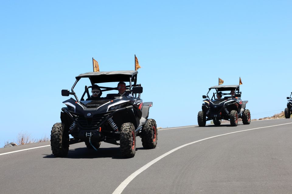 Tenerife: Teide National Park Guided Morning Buggy Tour - Observing Endemic Flora and Fauna